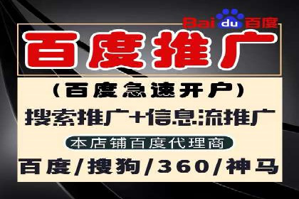 深度解析：SEM竞价优化提升ROI的案例